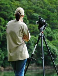 Filming Wildlife Filming Nature Wildlife